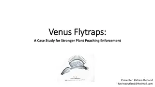 Plant Poaching Enforcement: A Case Study and Strategies