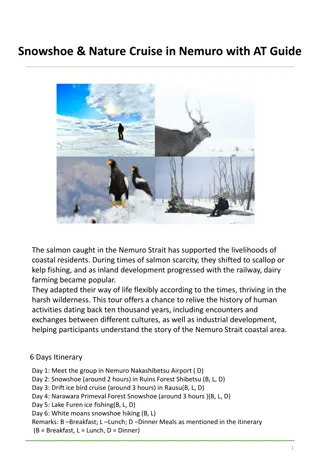 Exciting Snowshoe & Nature Cruise Adventure in Nemuro