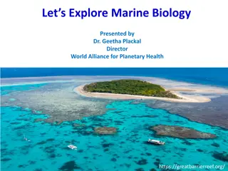 Importance of Marine Biology in Understanding Ecosystems