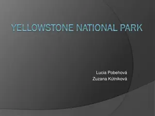 Exploring Yellowstone National Park: Geysers, Wildlife, and Landscapes