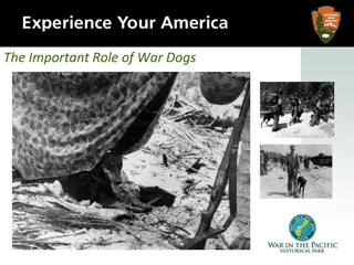 Unsung Heroes: Role of War Dogs in WWII