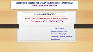 Soil Formation: Key Factors and Processes