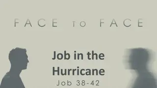 Job's Encounter with God in the Midst of Suffering