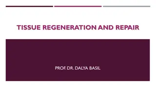 Tissue Regeneration and Repair Mechanisms
