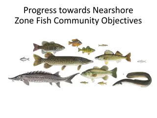 Protecting Nearshore Fish Communities for Sustainable Diversity