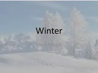 Exploring Edwin Morgan's Winter and Tithonus Themes