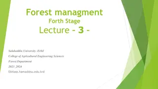 Sustainable Silviculture Practices for Forest Management