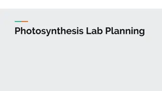 Photosynthesis Lab Planning and Study Variables