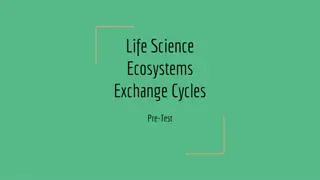 Explore Ecosystems and Energy Exchange in Nature