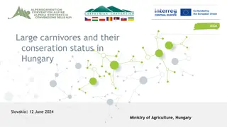 Conservation Efforts for Large Carnivores in Hungary and Slovakia