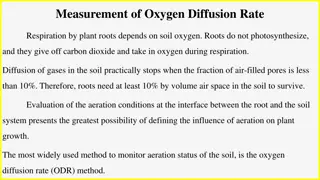 Oxygen Diffusion Rate Monitoring in Plant Roots