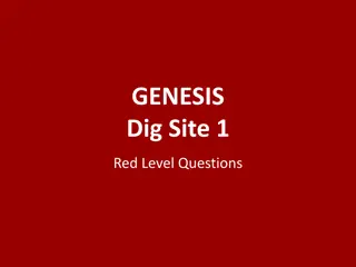 Unveiling the Genesis Dig Site 1 Red Level: Questions and Answers
