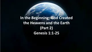 God's Creation - Reflections on the Beginning