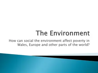 Impact of Social Environment on Poverty Worldwide