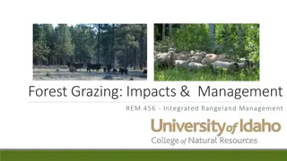 Managing Forest Grazing for Sustainable Vegetation Growth