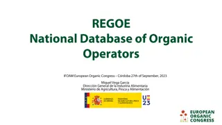 Enhance Your Presentations with Stunning Visuals