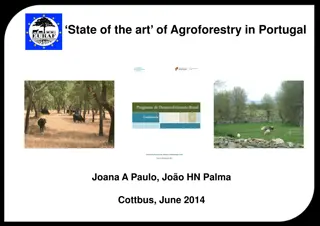 Agroforestry in Portugal: A Comprehensive Overview