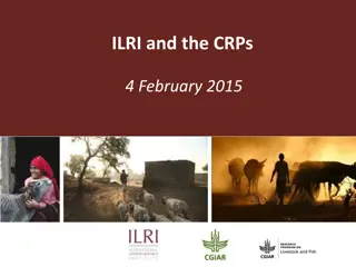 ILRI Collaborations with CRPs: Enhancing Livestock Research Impact