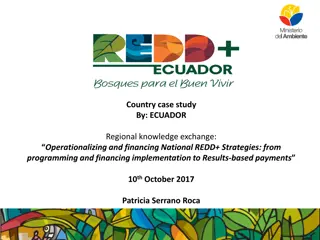 Operationalizing and Financing Ecuador's National REDD+ Strategies