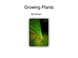 Essential Needs for Plant Growth Explained Through Images