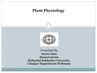 Plant Growth Regulators and Hormones