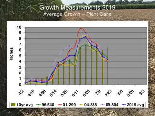 Cane Growth and Height Measurements 2019 Analysis
