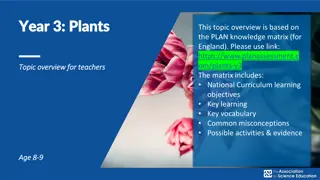 Plant Functions and Growth in Year 3 Curriculum