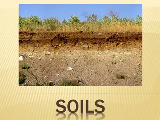 Unveiling the Intriguing World of Soil