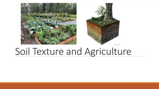 Soil Texture for Effective Agriculture