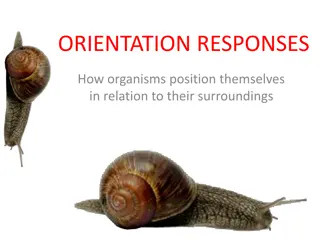 Organisms' Responses to Abiotic Stimuli and Orientation in Their Surroundings