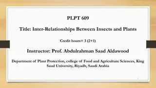 Interactions Between Insects and Plants via Allelochemicals