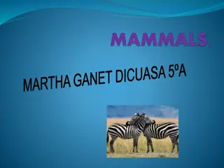 Mammals: Diet, Body Covering, Reproduction