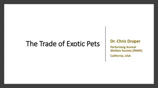 The Welfare of Exotic Pets in the International Wildlife Trade
