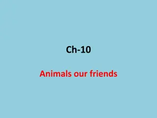 Animals: Their Habits and Habitat
