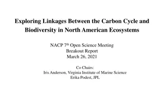 Exploring Linkages Between Carbon Cycle and Biodiversity in North American Ecosystems