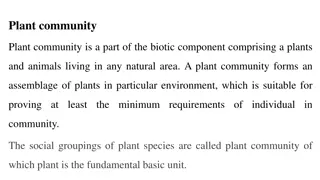 Plant Community as a Biotic Component