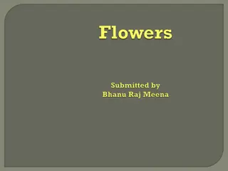 Floral Anatomy: Stamen, Carpel, and Collective Nouns