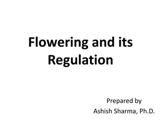 Floral Development and Regulation in Plants