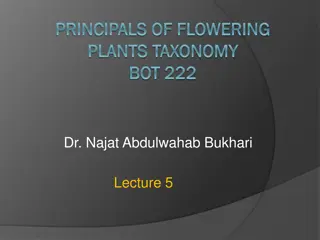 Plant Taxonomy and Flowering Principles