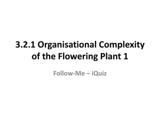 Organisational Complexity of Flowering Plants