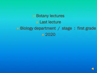 Botany: Stems, Plant Classification, and Stem Structures