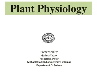 Plant Senescence: A Vital Developmental Process