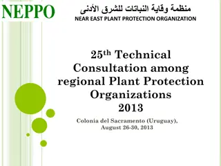 Plant Protection Organization Events and Workshops in the Near East Region