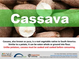 Cassava – Nutritional Benefits and Cooking Tips