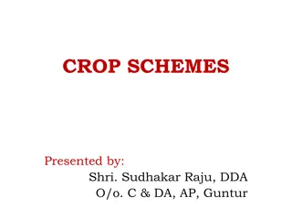 Enhancing Agricultural Productivity through Crop Diversification Initiatives