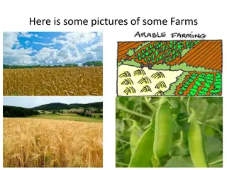 Exploring Arable Farming Practices and Climate Impact