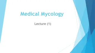 Medical Mycology Fundamentals