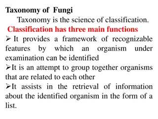 Fungal Taxonomy and Classification
