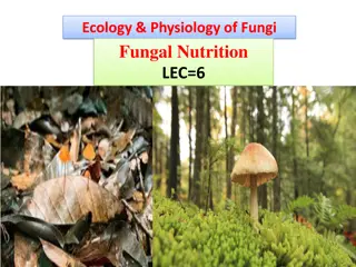 Fungal Nutrition and Ecology