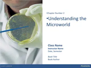 Understanding the Microworld: Factors and Contamination in Food Handling